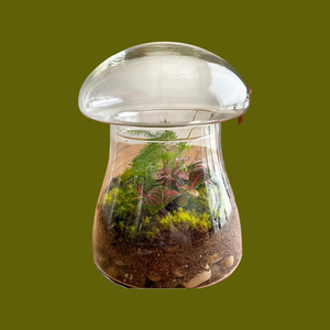 Glass Mushroom Apothecary Jar