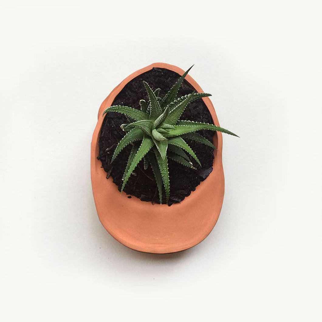 Terracotta Hat Planter - Medium