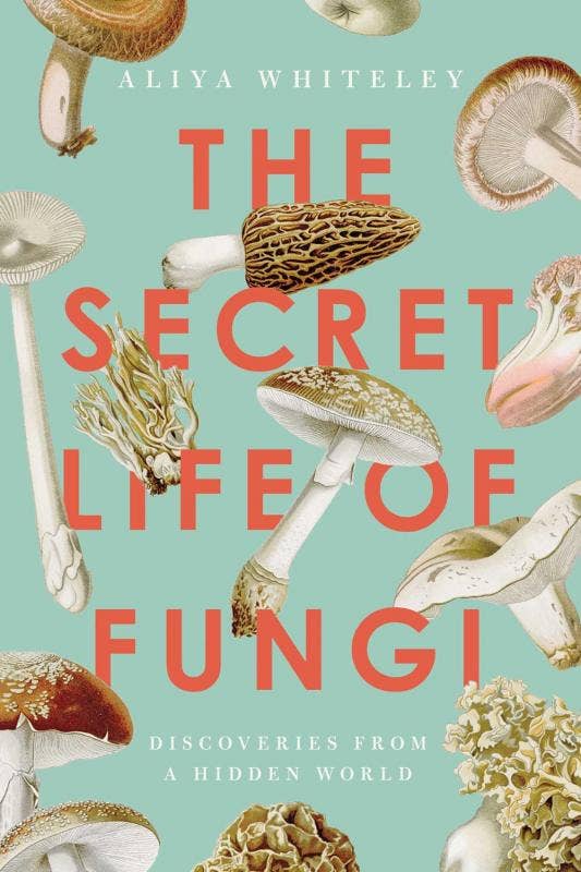 Secret Life of Fungi Book